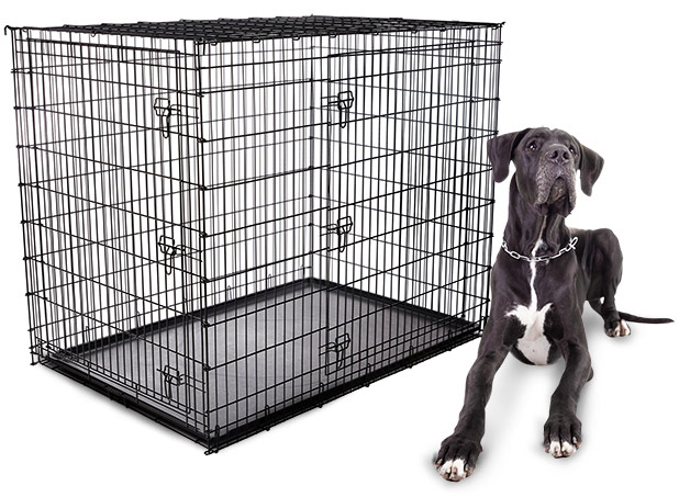 54 inch heavy duty dog crate